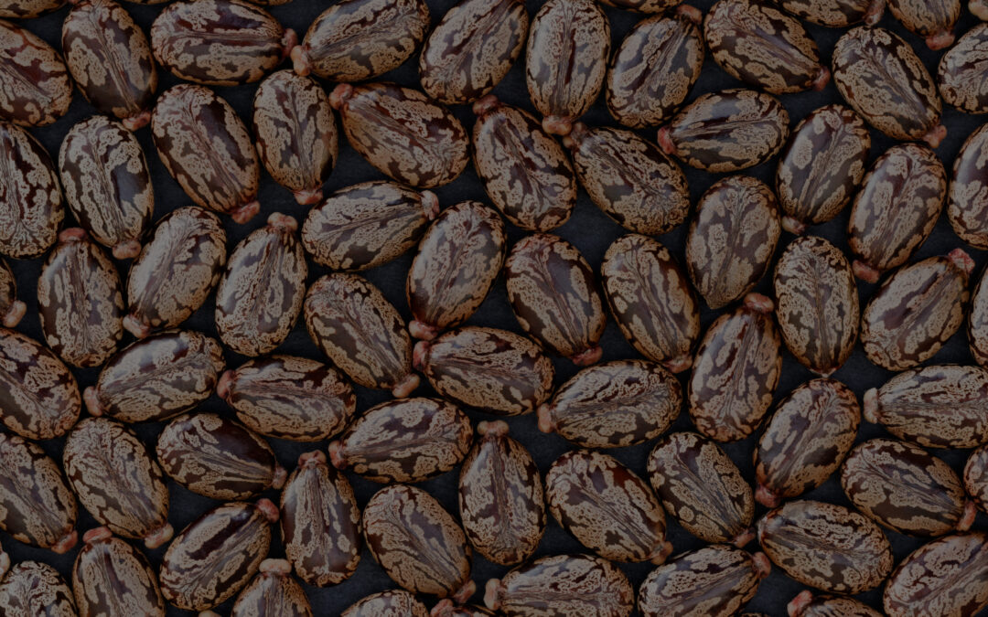 Castor oil – bean based footwear